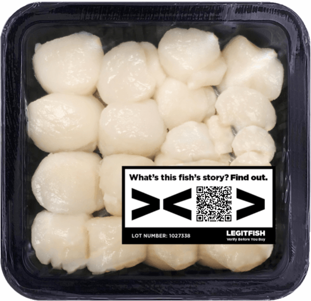 Scallops with QR code